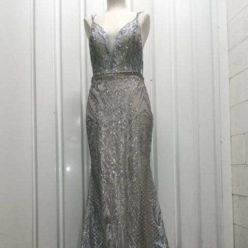 Princess gown, elaborate details, floor length, silver